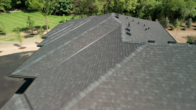 Best Roof Moss and Algae Removal  in Highland Park, NJ