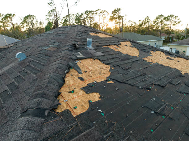 Best Roof Leak Repair  in Highland Park, NJ